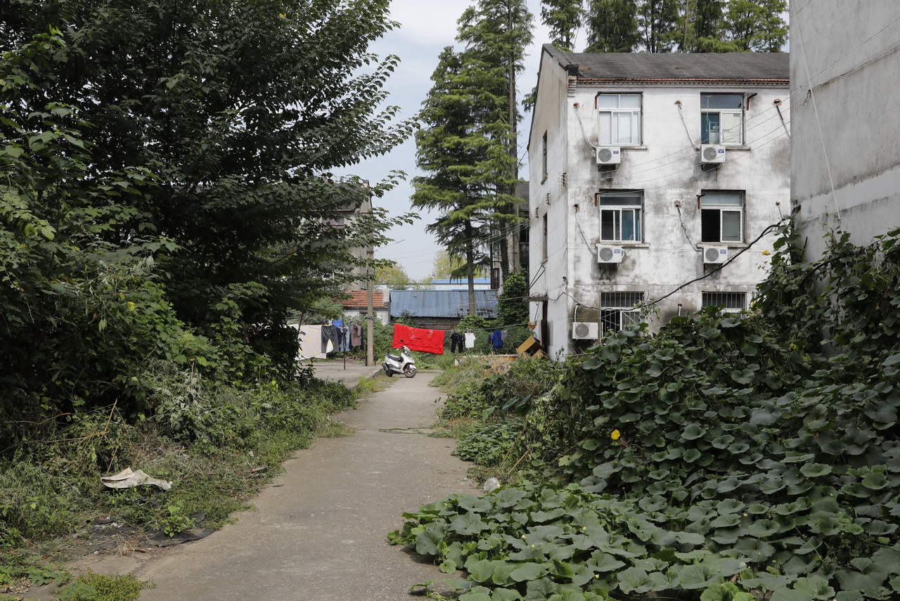 湖北省江汉棉纺织厂怎么样,武汉东西湖棉纺织厂梁冬芳