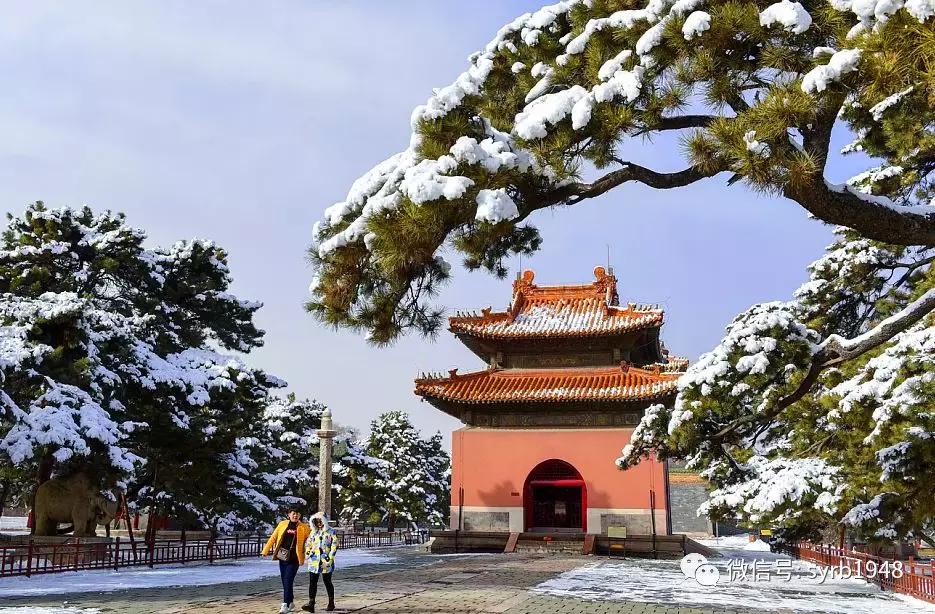 我叫沈阳,我叫沈阳话