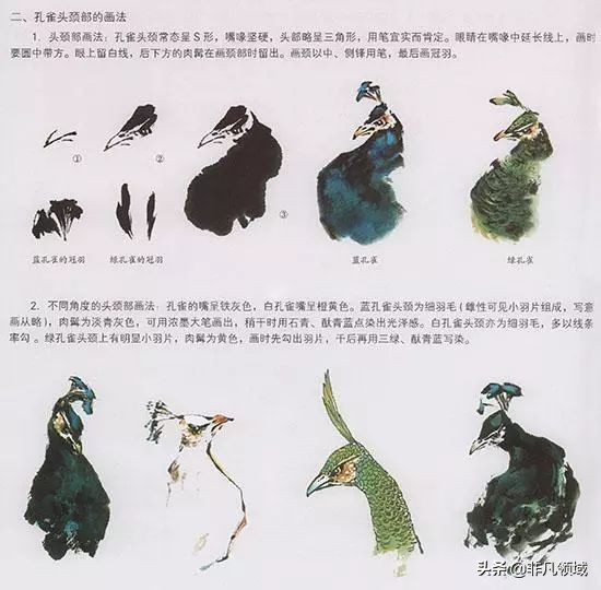 梁桂霖国画孔雀的画法视频,孔雀眼睛画法国画