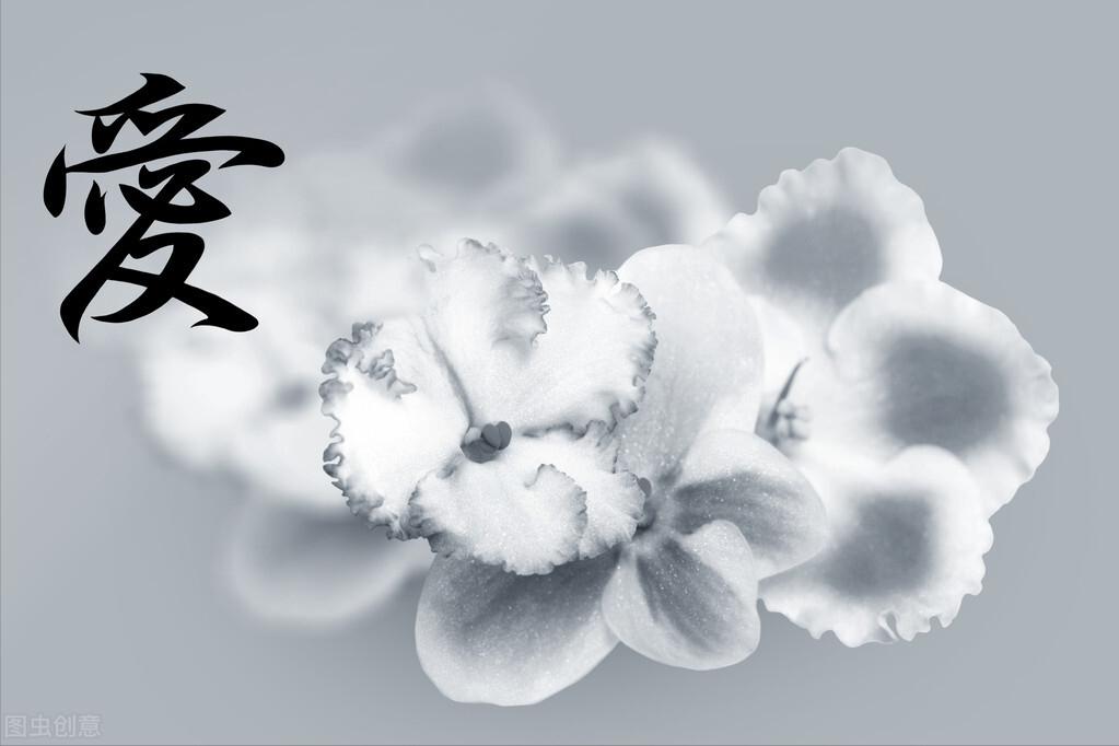 爱的教育读后感300字三年级,爱的教育读后感400字优秀作文