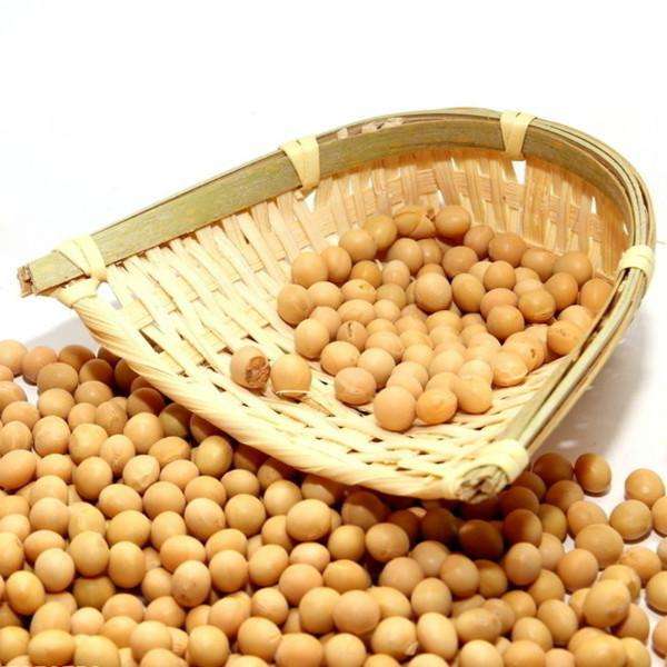 大豆深加工项目有哪些,大豆深加工详解