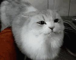 新生儿女宝下身护理,怎样护理9个月女宝