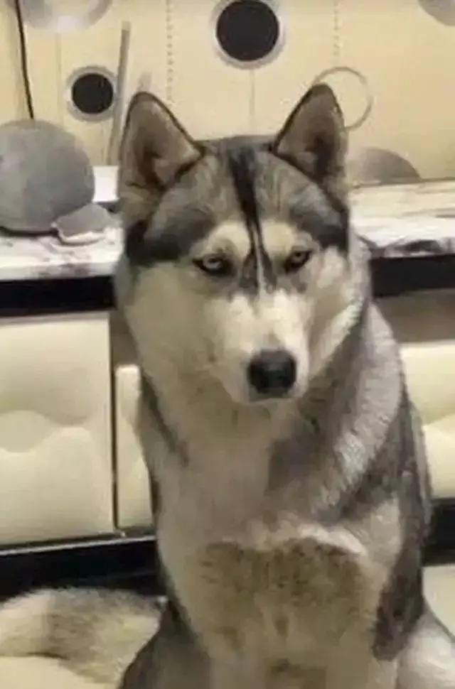 丹凤眼好看还是桃花眼,大家觉得丹凤眼好看还是桃花眼