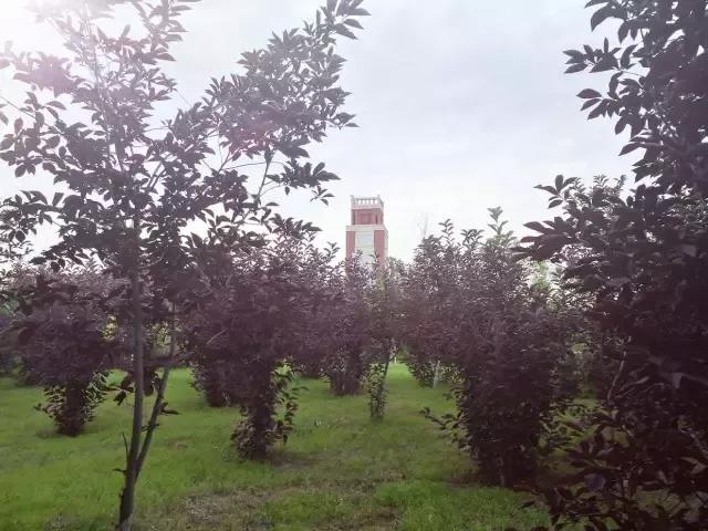 辽宁中医药大学杏林学院有独卫吗,辽宁中医药大学杏林学院属于3+2吗