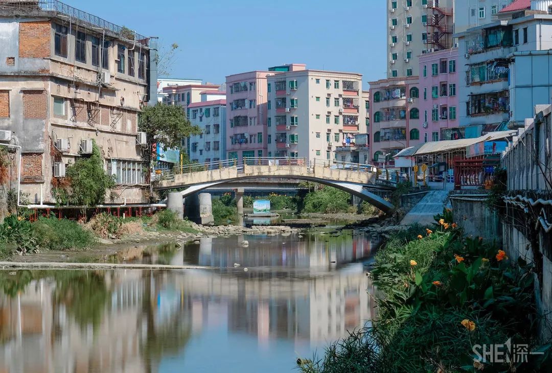 别总去大沙河了！深圳这条极少有人知道的河流，更神秘