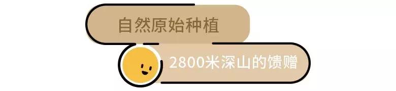 汶川最美紫宝石,汶川最美的紫宝石