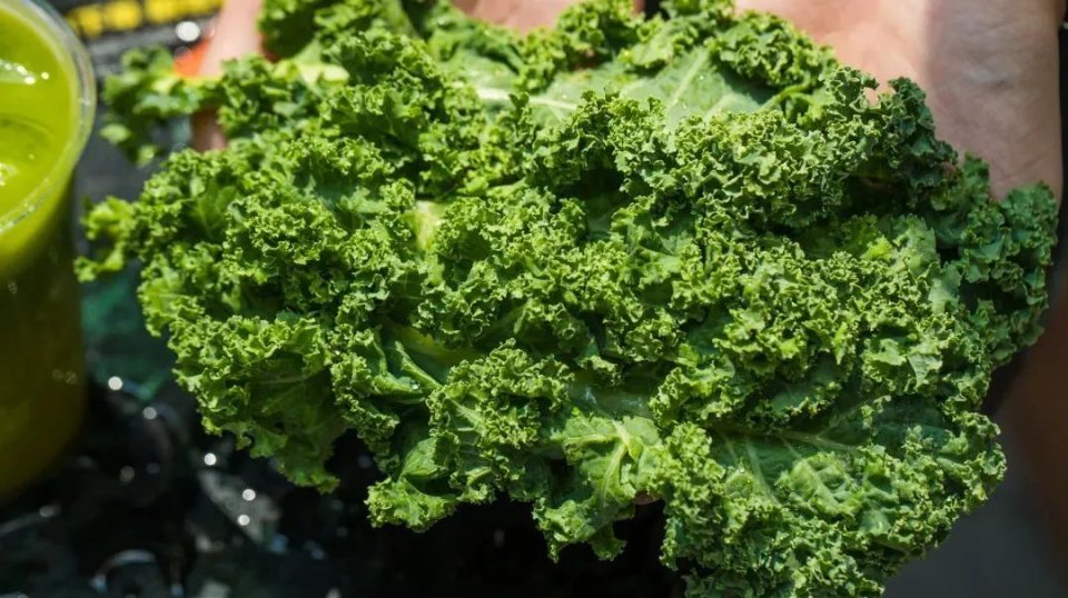 卖出50w+杯的『原谅绿』果汁，男生都不好意思喝…