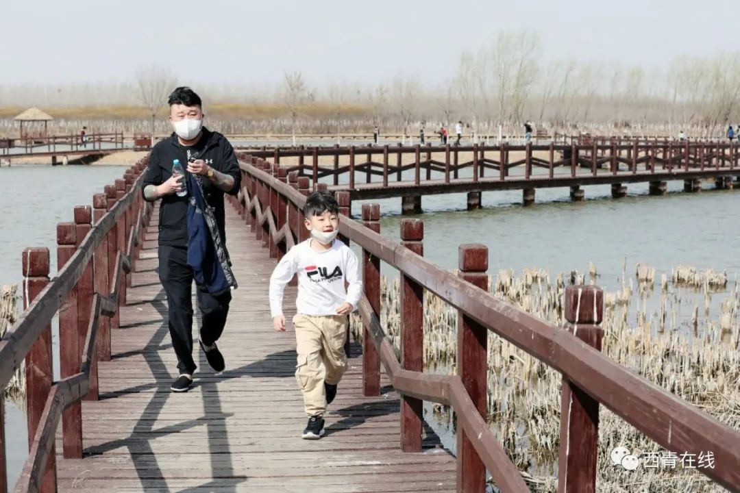 天津2022哪些公园恢复开放,天津2022年四月开放的公园