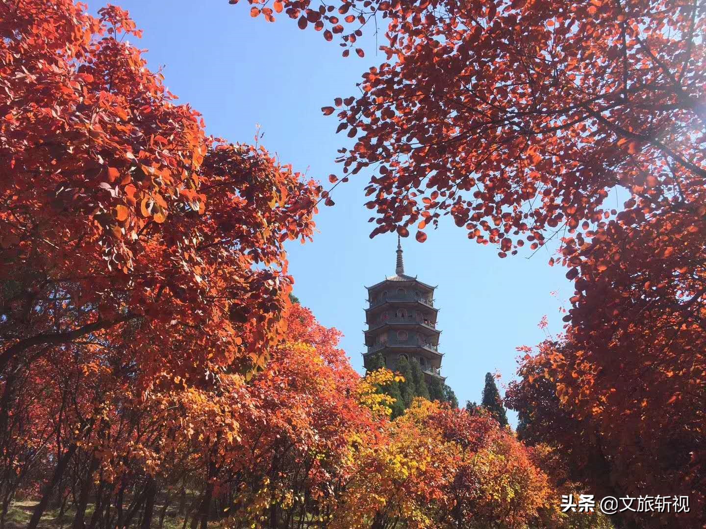 走过南闯过北还是老家最美,走过祖国大江南北还是河南最美