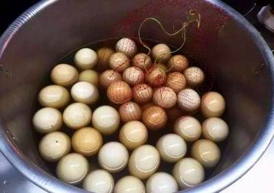 你吃过毛蛋吗,你们有吃过毛蛋吗