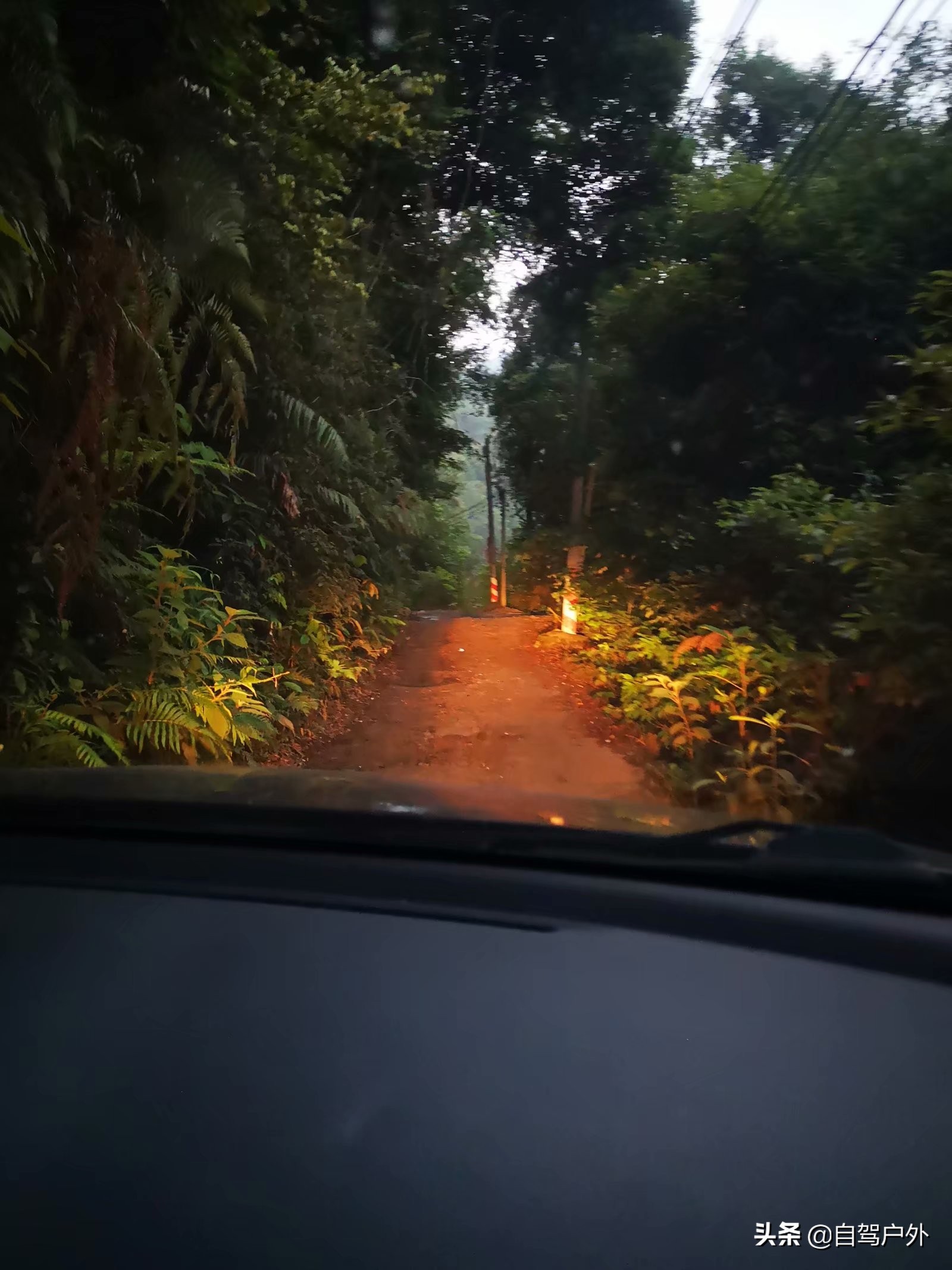 罗浮山脚下小溪露营地推荐,罗浮山休闲竹林露营攻略