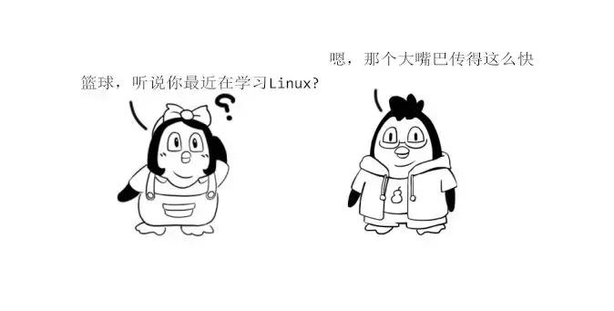 Linux是怎么来的？终于有一篇文章讲清楚了
