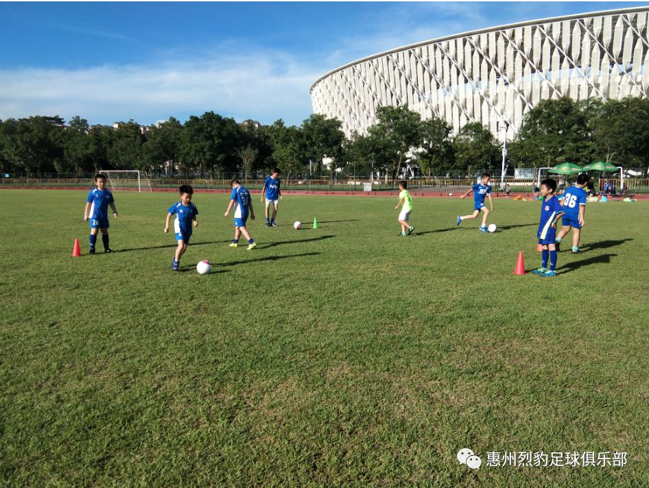 惠州烈豹足球俱乐部,惠州青少年足球赛报名