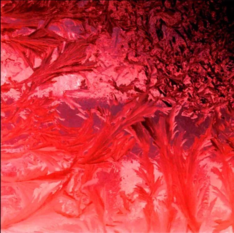 2018年总结表彰暨「感动我的人和事」征文颁奖团拜会