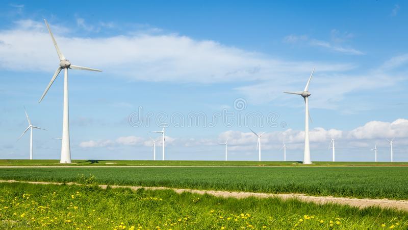 浮生情絮小说,浮生情免费阅读