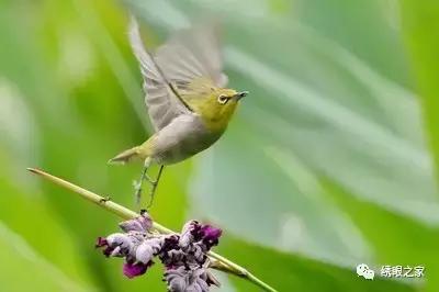 缁ｇ溂鎹㈡瘺瑙嗛,缁ｇ溂鎰忓鎹㈡瘺
