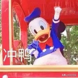 德阳人社直播间,德阳人的福利