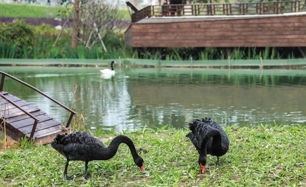 漳州通讯录大全,漳州市各区通讯录