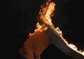 控制好你的表情和语言,控制好表情