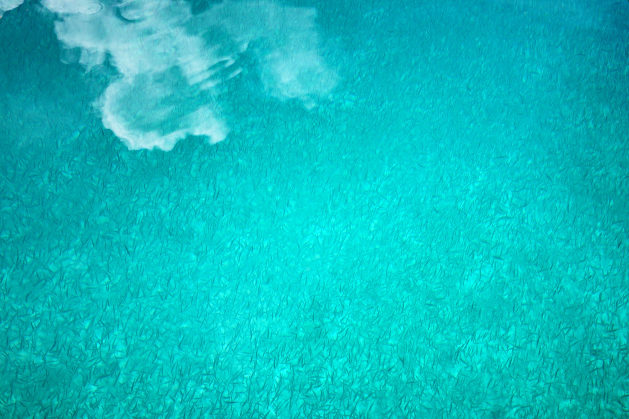 一定是特别的缘分——帕劳,再遇见「周若雪Patty」·上