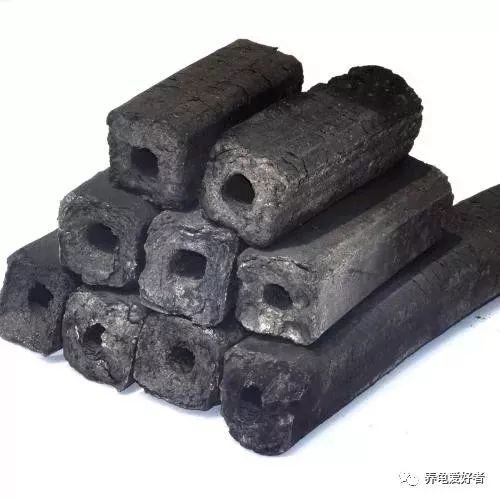 养龟异味怎么处理,养龟怎样防止臭味