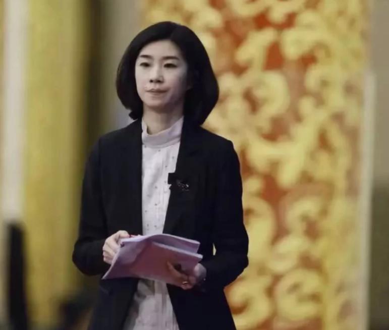 外交部最美的翻译官张璐,外交部美女张璐