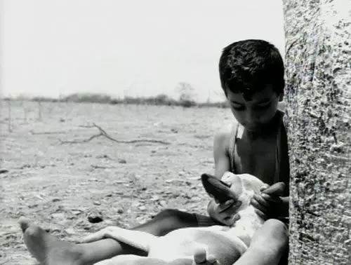 一部震撼心灵的好片,感动无数人的电影