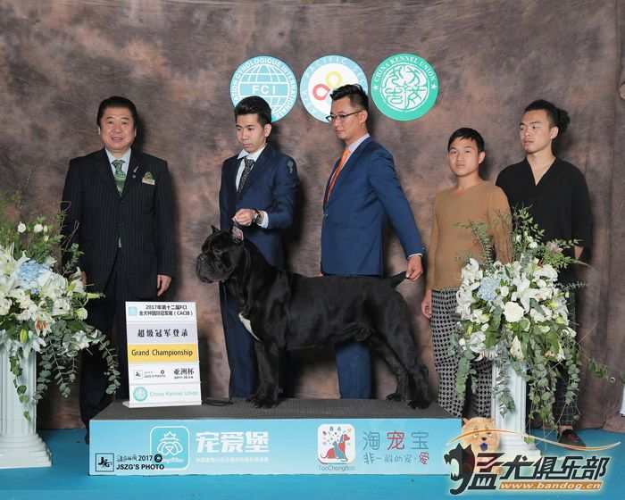 拉鼓带刀护卫,宝哥带刀护卫