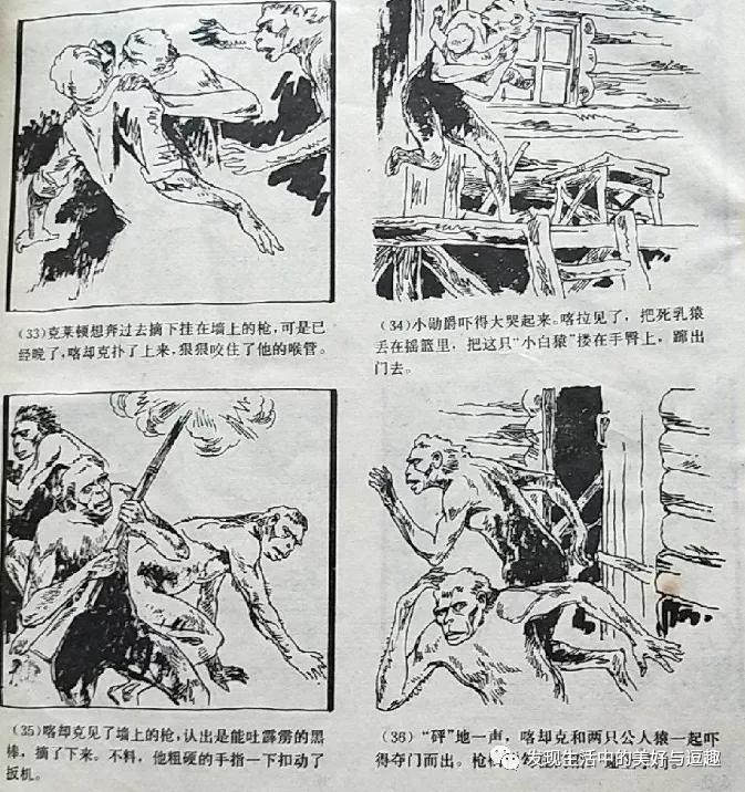 报刊亭卖奶茶,冷饮售卖亭