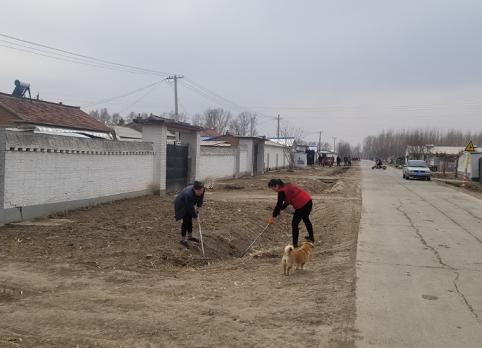 公主岭农业方面,公主岭市绿色农业