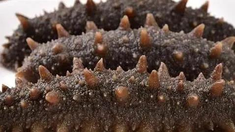 青岛特产前十名排行榜,青岛特产有哪些可以带回来的小吃