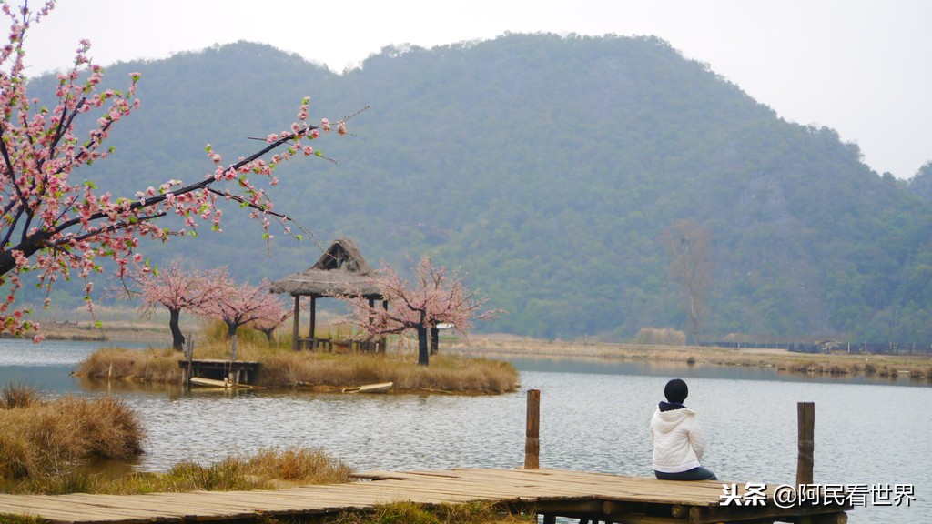 云南普者黑元阳坝美6天旅游攻略,云南建水普者黑旅游路线