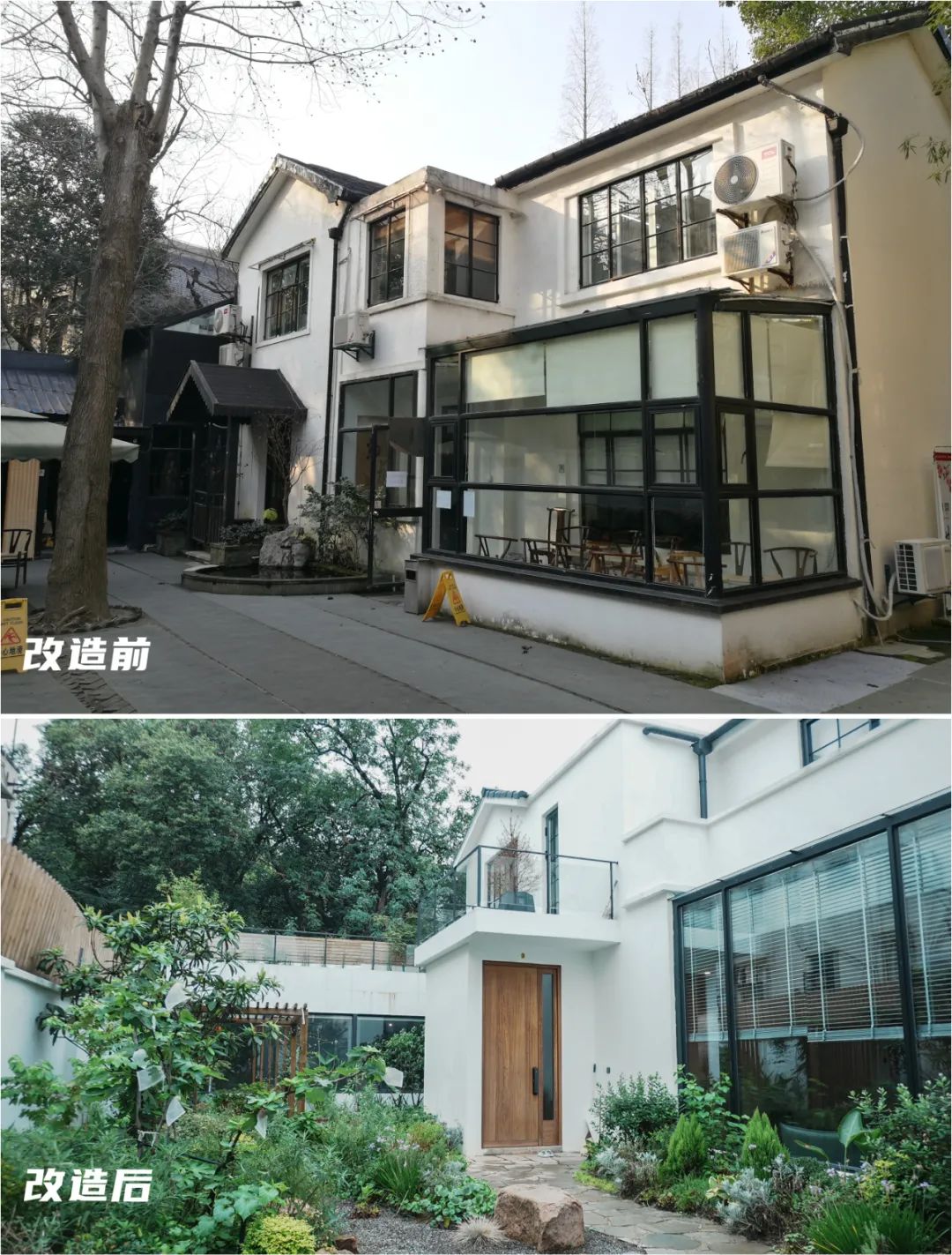 住在上海闹市400平的房子里，花开不败，开窗见池塘，太羡慕了