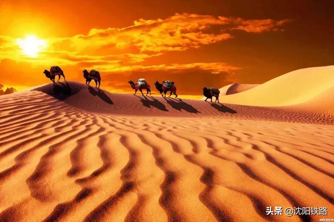 辽宁草原旅游列车,辽宁附近2-3天短途旅游高铁