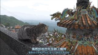 吸猫最高境界图片,吸猫最高境界完整视频