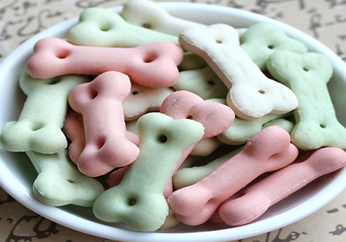 养宠知识狗狗2天不大便怎么办,训练狗狗不护食的方法2岁