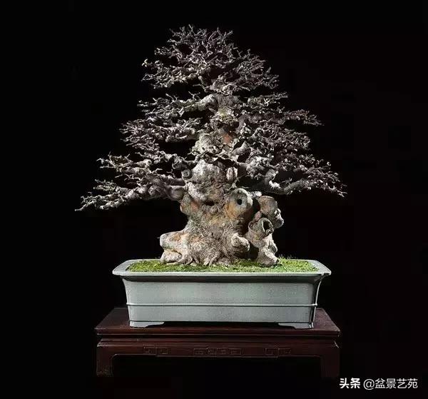 西泠印社砚台最高价拍卖记录,杭州西泠拍卖盆景