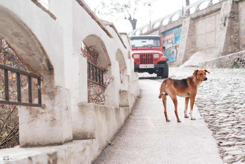 2019年全球必去的52个目的地,2023必去旅游地方排名