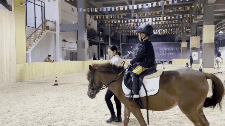 徐州英骐国际马术,徐州英琪国际马术中心