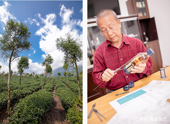 又获奖,又获奖啦