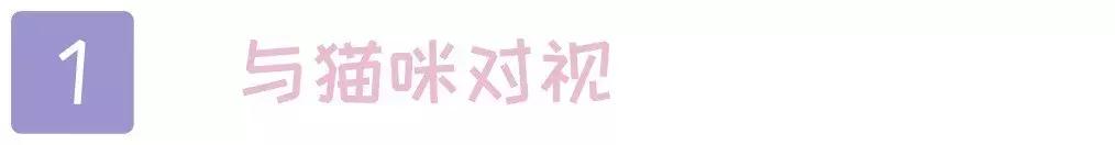 猫咪犯了错该如何批评？这2个错误的方式不要再用了