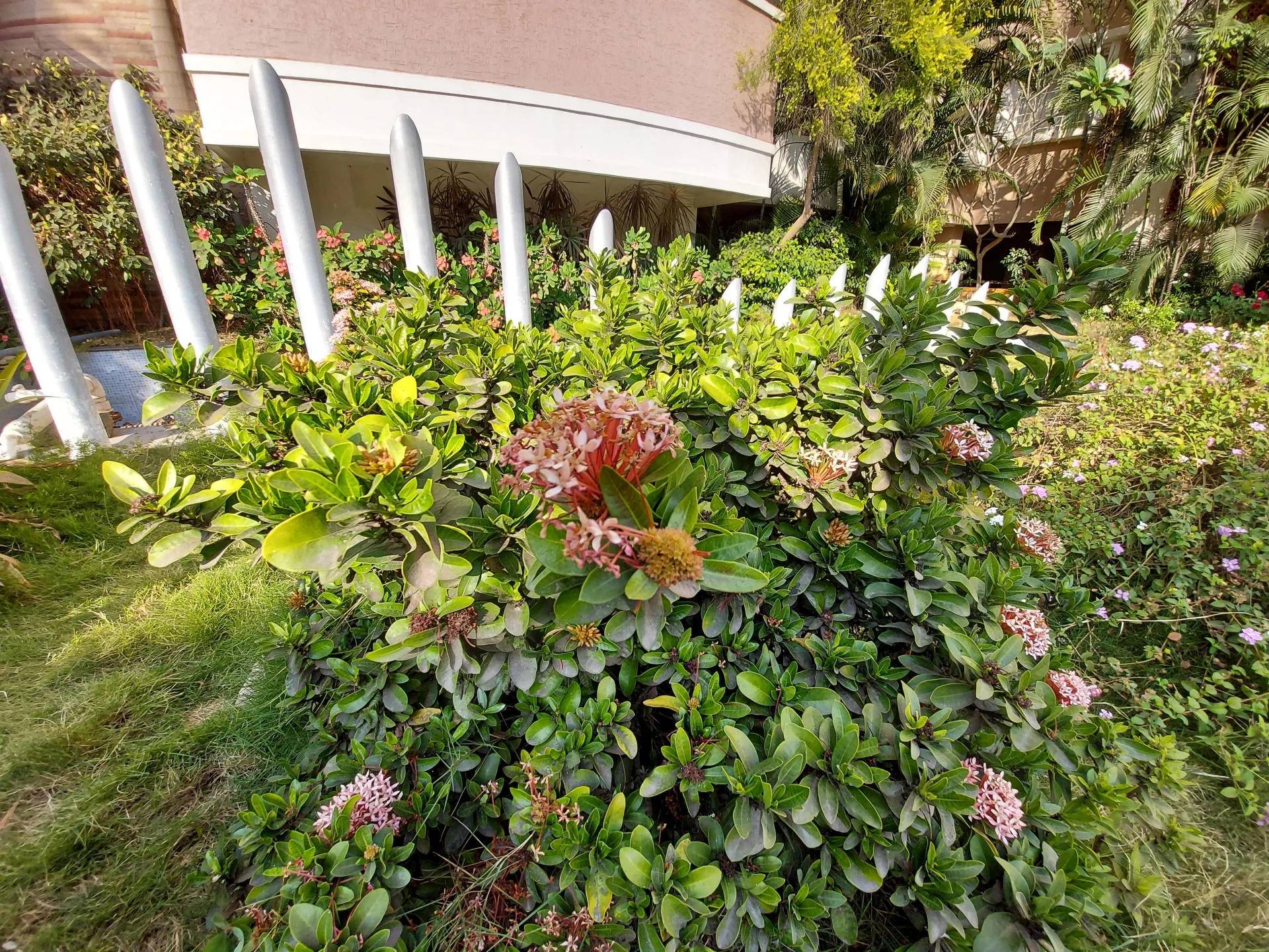 三星s10lite的详细参数,三星GalaxyS10Lite版本