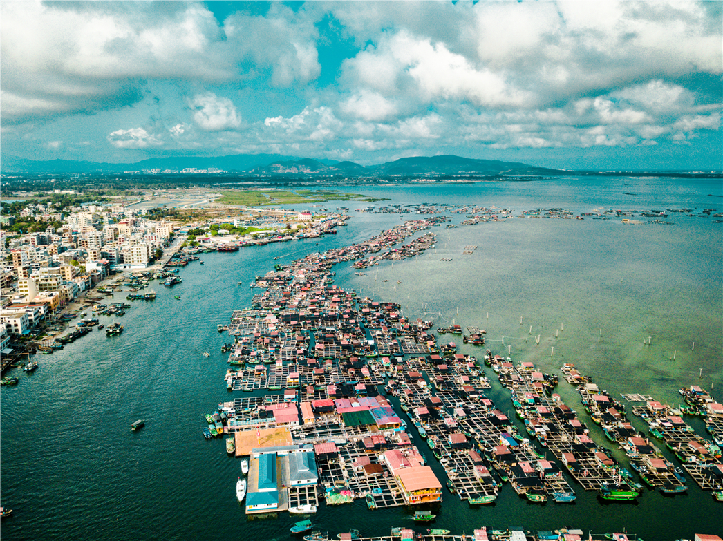海南必玩猴岛与呆呆丨看萌呆猕猴，呆呆岛发呆