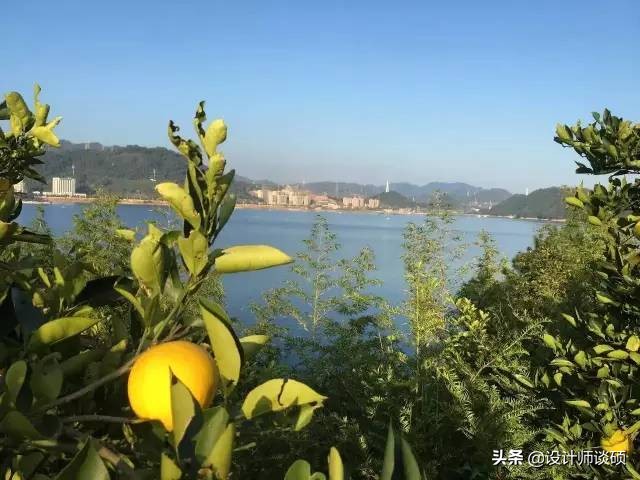 这个40岁大叔为钓鱼租下一座岛，改造破屋成海景房！