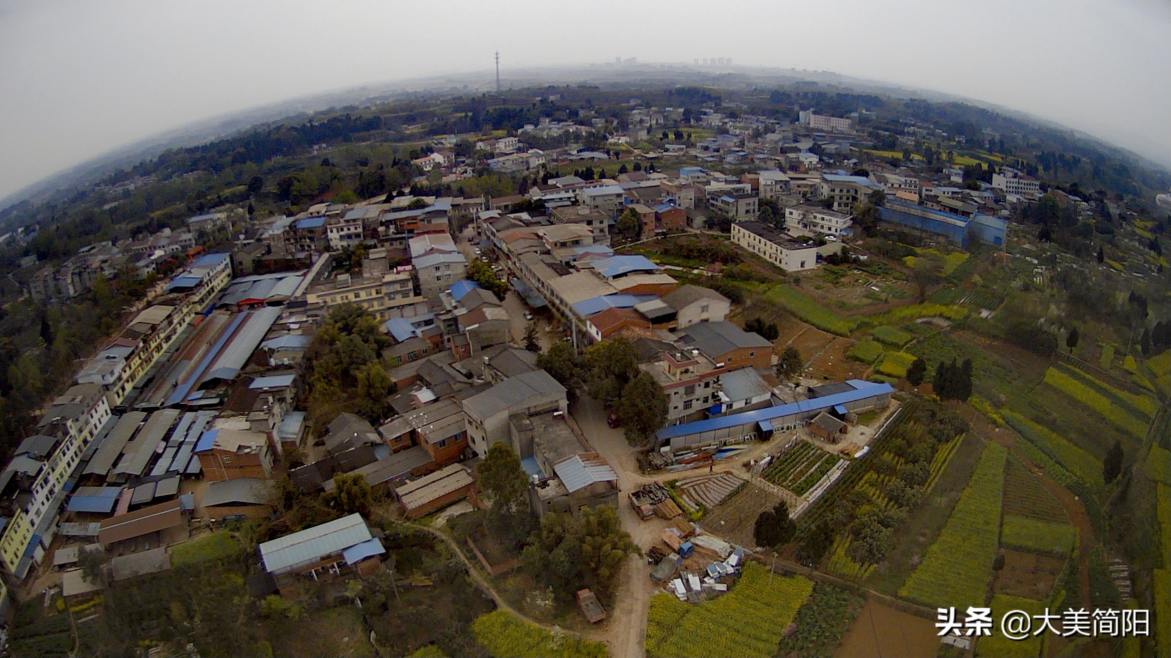 简阳全家福照片,简阳全家福写真