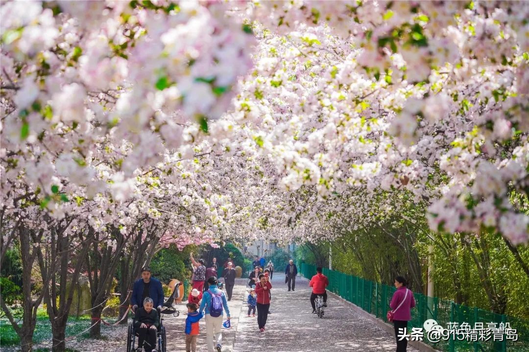 冬日李村公园,李村公园鬼步舞