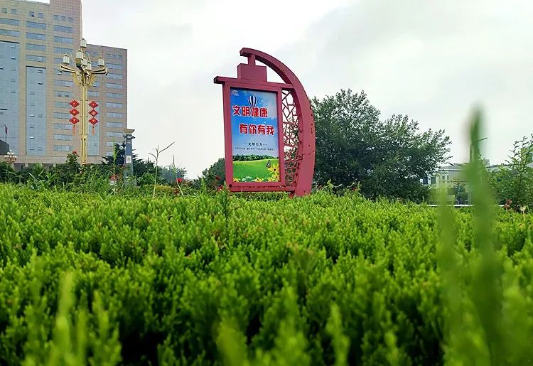 莱芜公益广告视频大全,公益广告浸润市民