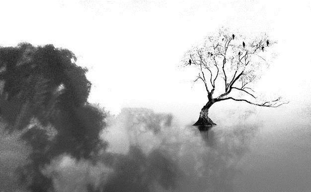 对联是意境重要还是平仄重要,对对联必须每个字平仄都要相反吗