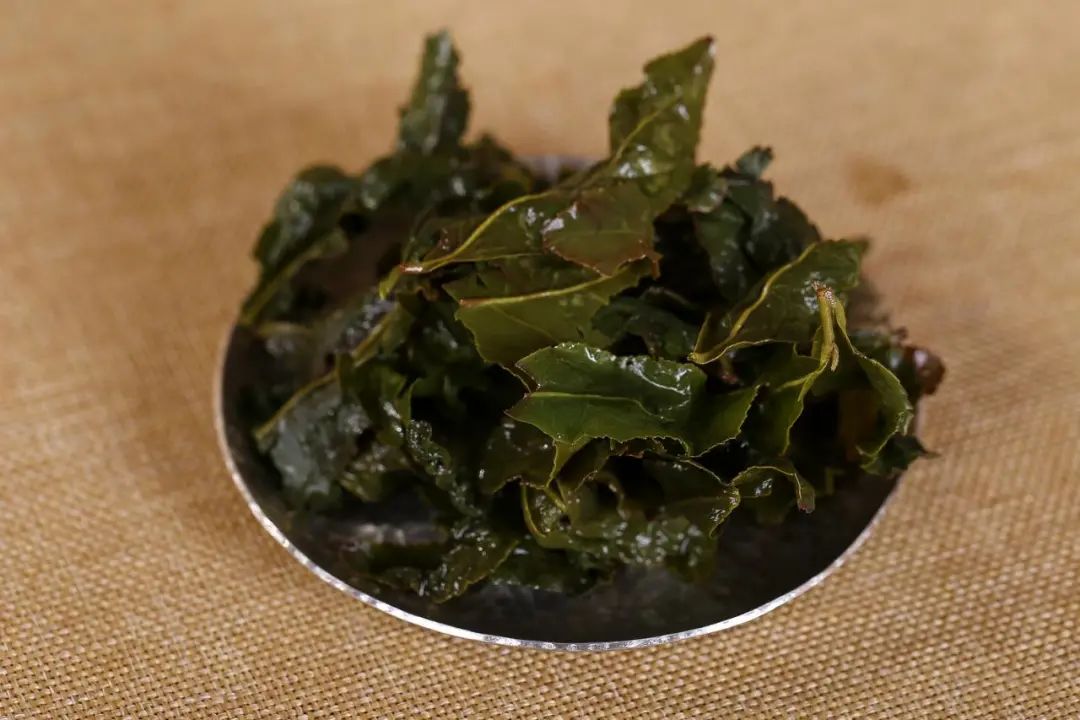 怎样鉴别铁观音好坏,如何挑选真正的铁观音