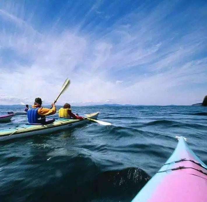 舟山直播带货了,舟山直播带货非常受欢迎